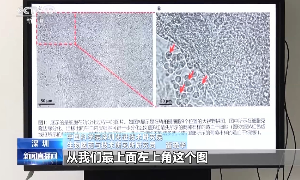 Trung Quốc đạt dấu mốc lớn về nghiên cứu tế bào gốc trong vũ trụ